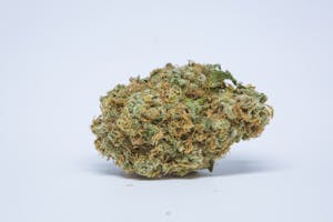 Critical Jack Marijuana Strain