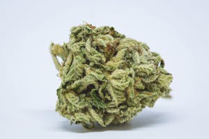 Big Bud Marijuana Strain