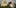 Cannabis Products 10 African Americans At Greatest Risk For Cannabis Arrests
