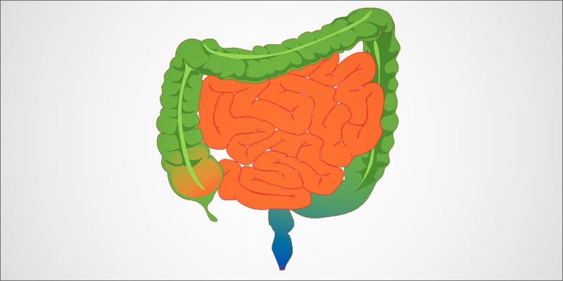 Cannabis The Gut 9 Cannabis & The Gut: Does Weed Heal Or Harm?