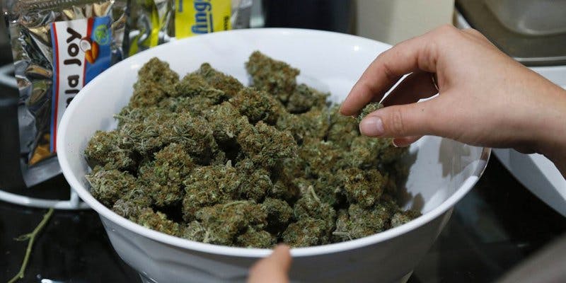 Cannabis in Colorado 2 North Dakota Approves Medical Cannabis Initiative