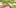 Cannatonic 2 To Put It Bluntly, You Need To Watch This New Women & Weed Show