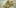 Proposition 64 1 African Americans At Greatest Risk For Cannabis Arrests