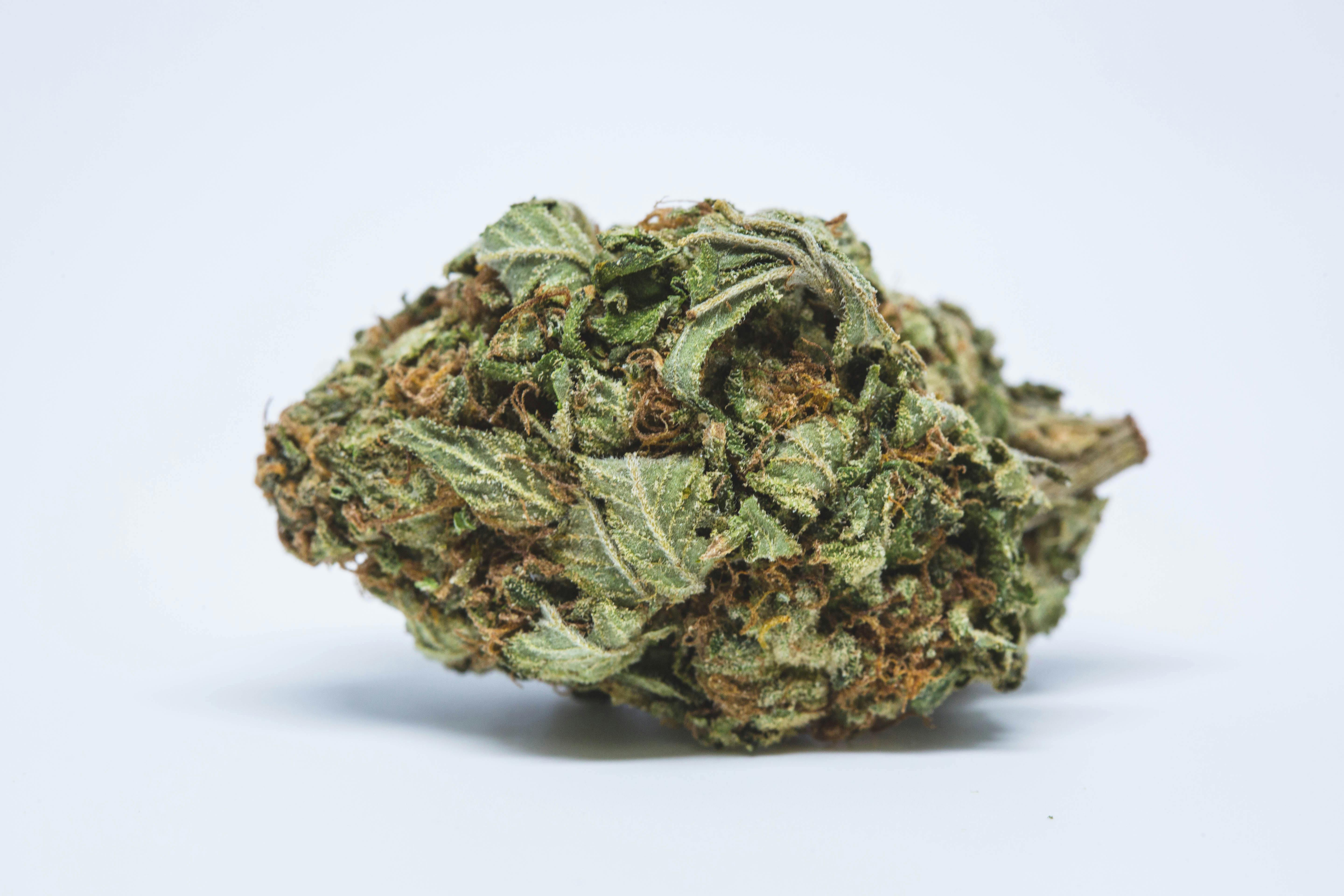 SFV OG Kush Strain of Marijuana | Weed | Cannabis | Herb
