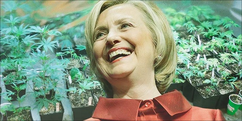 Stand Against 1 Hillary Clinton Promised Bankers Shes Against Cannabis Legalization