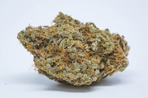 Kosher Kush Marijuana Strain