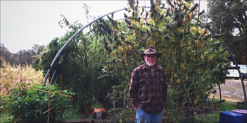 Twins Grow 2 Why These OG California Growers Oppose Legalization
