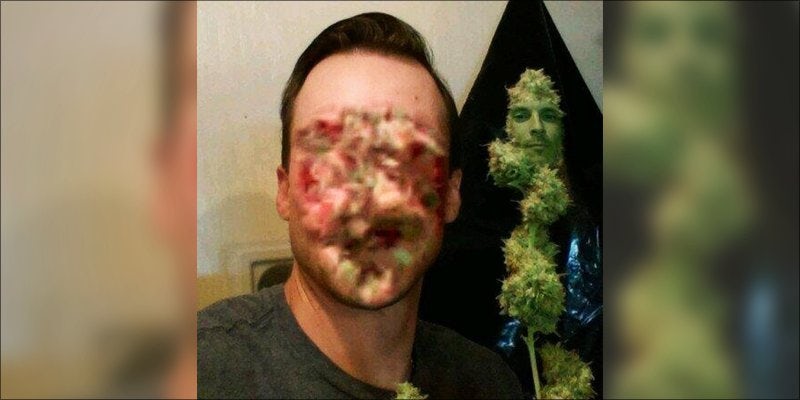 face swapped 1 Will Snapchat Launch A New Weed Face Filter?