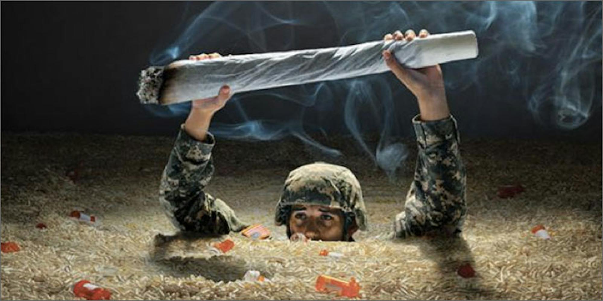 This Official Thinks Veterans Are Allowed Too Much Cannabis Herb