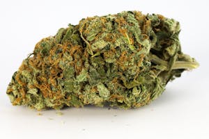 Acapulco Gold Marijuana Strain