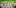 2016 Cannabist Awards 2 Does Cannabis Relieve Charcot Marie Tooth Disease (CMT)?