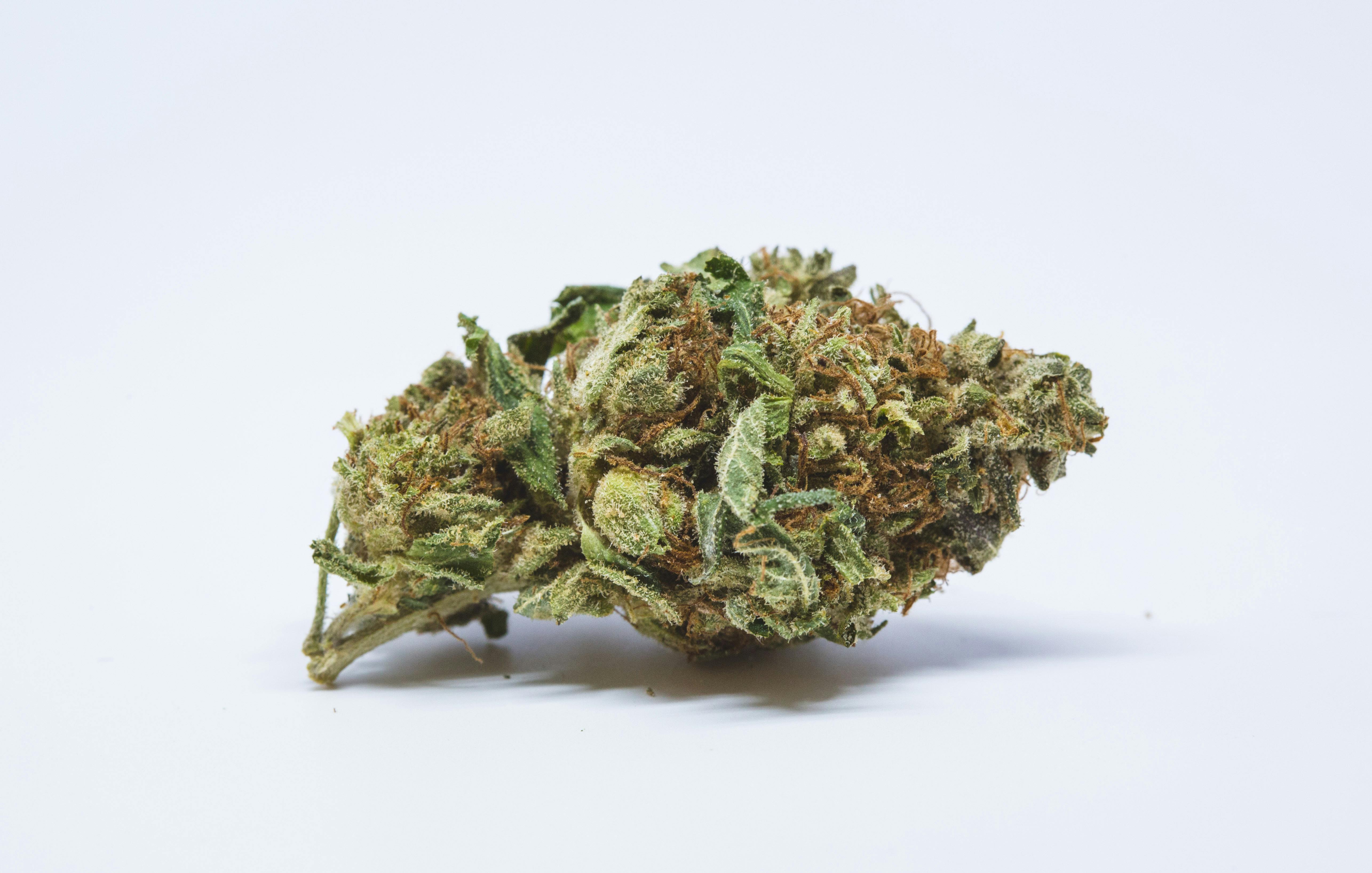 Blackwater Marijuana Strain