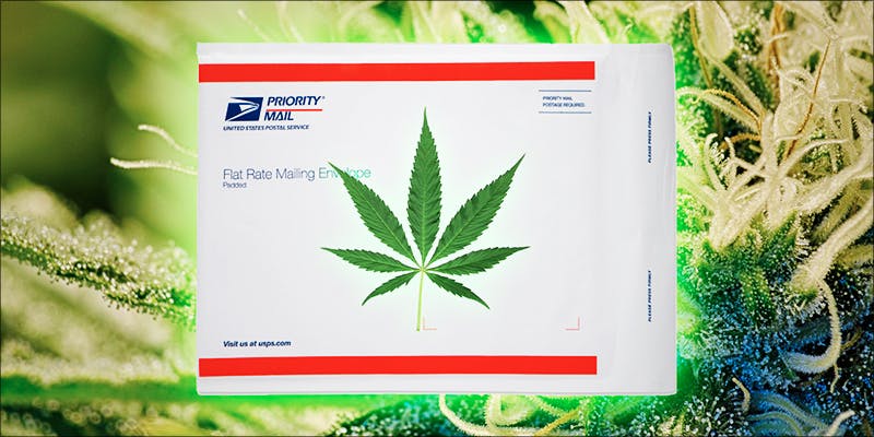 Are Postal Workers 1 Turns Out, Postal Workers Are Stealing Illegally Shipped Weed