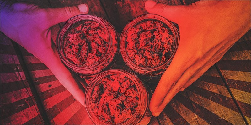 Budtender hero The Vangst Cannabis Career Summit Will Kick Start Your New Green Career