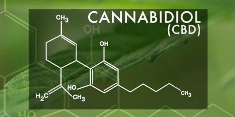 CBD Success Story 3 North Dakota Approves Medical Cannabis Initiative