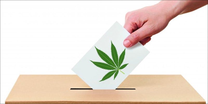 Cannabis Votes 2 Experts Weigh In On The Upcoming Cannabis Votes