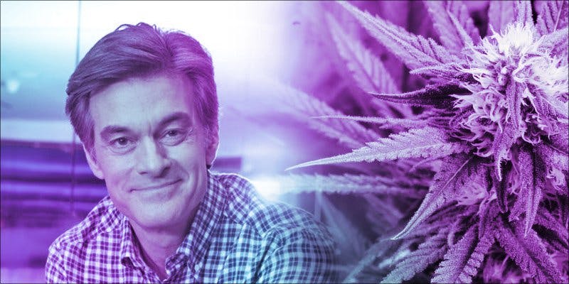 Dr. Oz Investigates Cannabis As A Potential Cure For Opioid Addiction