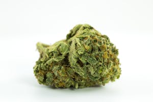 Grape God Marijuana Strain