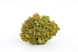 Great White Shark Marijuana Strain