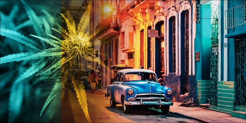 Tony Bascaro: Cuban Exile, Now One Of America’s Oldest Pot Prisoners