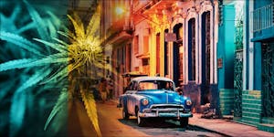 Tony Bascaro: Cuban Exile, Now One Of America’s Oldest Pot Prisoners