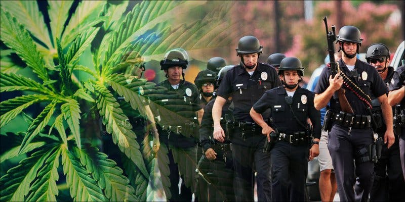 Prohibition-Style Cannabis Crackdown