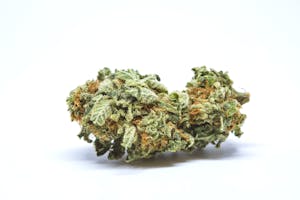 Moby Dick Marijuana Strain