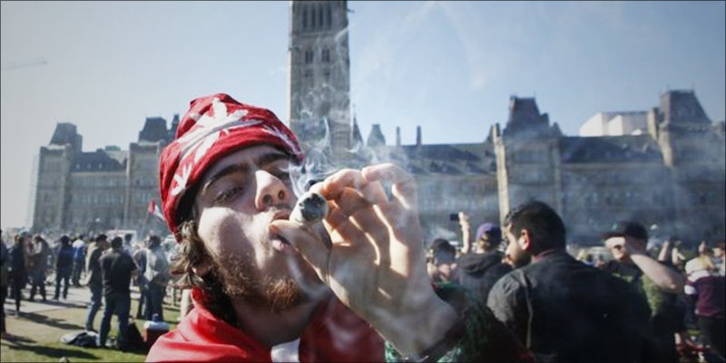 Report On Canadas 2 Canadas Controversial Legal Weed Task Force Submits Its Report