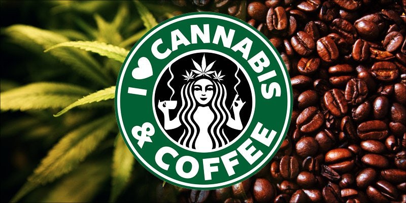 Starbucks wins hero Starbucks Wins $500,000 Lawsuit Over A Bong