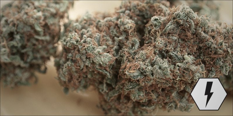 Super Lemon Haze hero Quickest Detox: How to Get Weed Out of Your System