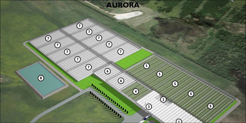 This Small Alberta 1 Worlds Largest Weed Factory Planned In Small Canadian Town