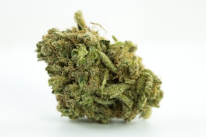 White Russian Strain
