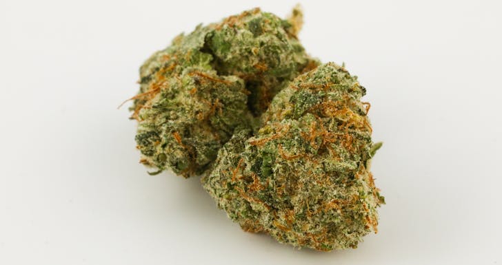 G-13 Haze Weed; G-13 Haze Cannabis Strain; G-13 Haze Hybrid Marijuana Strain