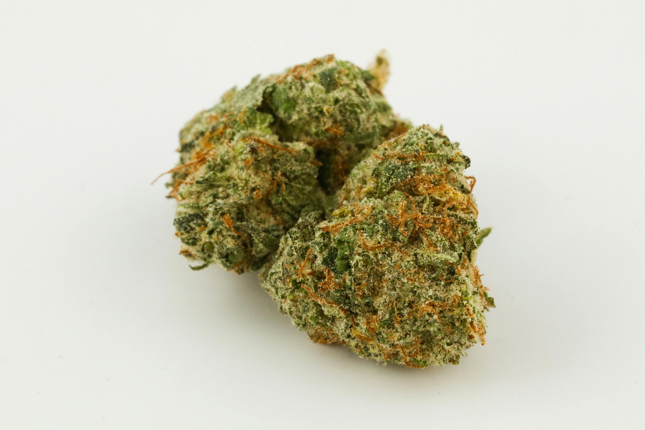 G-13 Haze Weed; G-13 Haze Cannabis Strain; G-13 Haze Hybrid Marijuana Strain