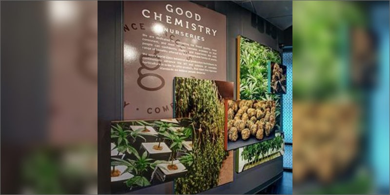 gc1 Good Chemistry: Colorados Finest Are Bringing Green Gold To Nevada