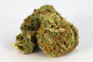 707 Headband Marijuana Strain