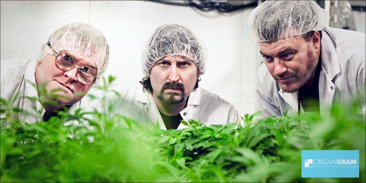 The Trailer Park Boys Are Launching Their Own Weed Brand | Herb