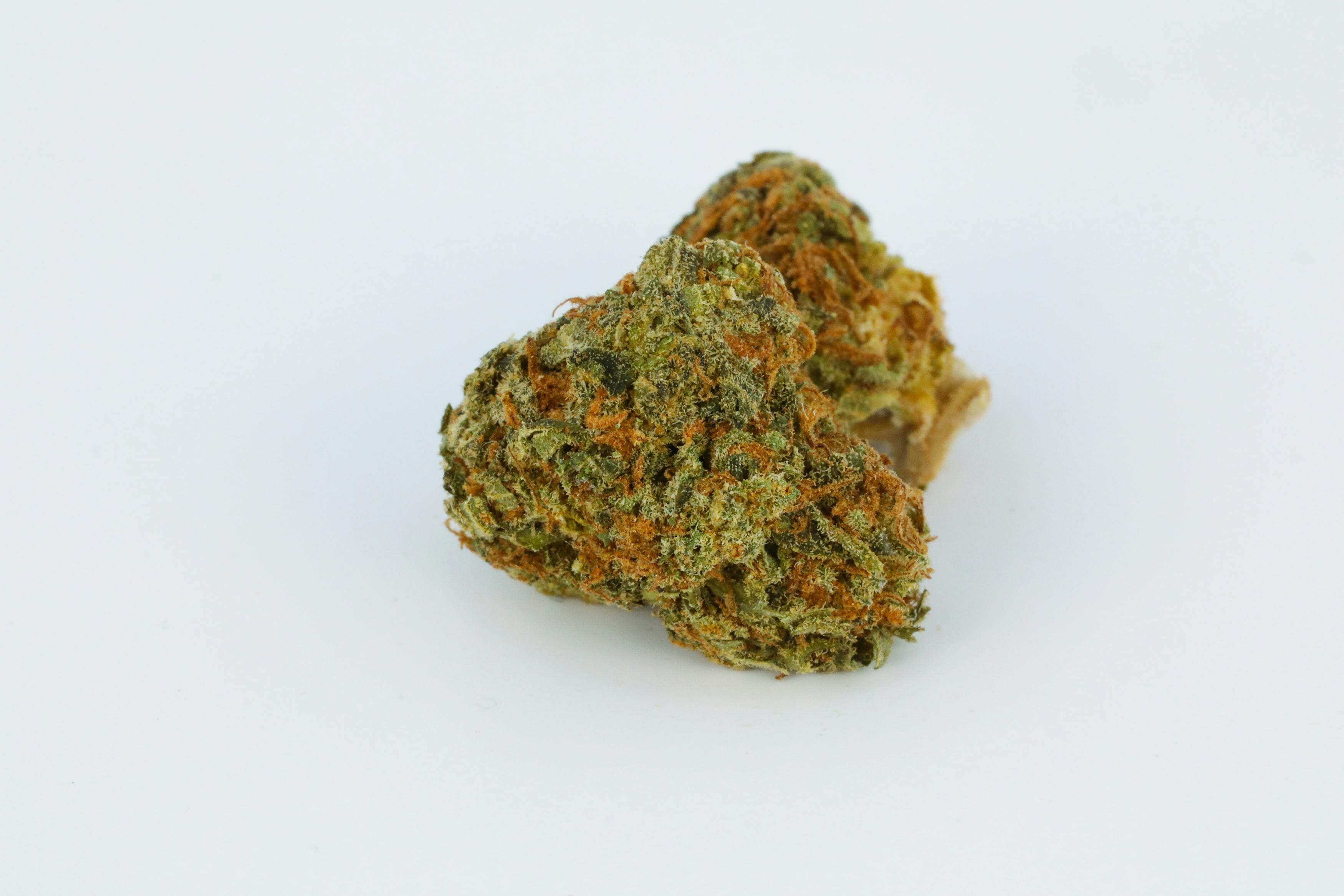 zheetos strain indica or sativa