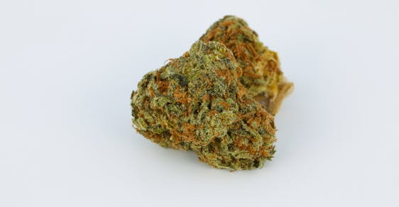 Stardawg Weed; Stardawg Cannabis Strain; Stardawg Hybrid Marijuana Strain