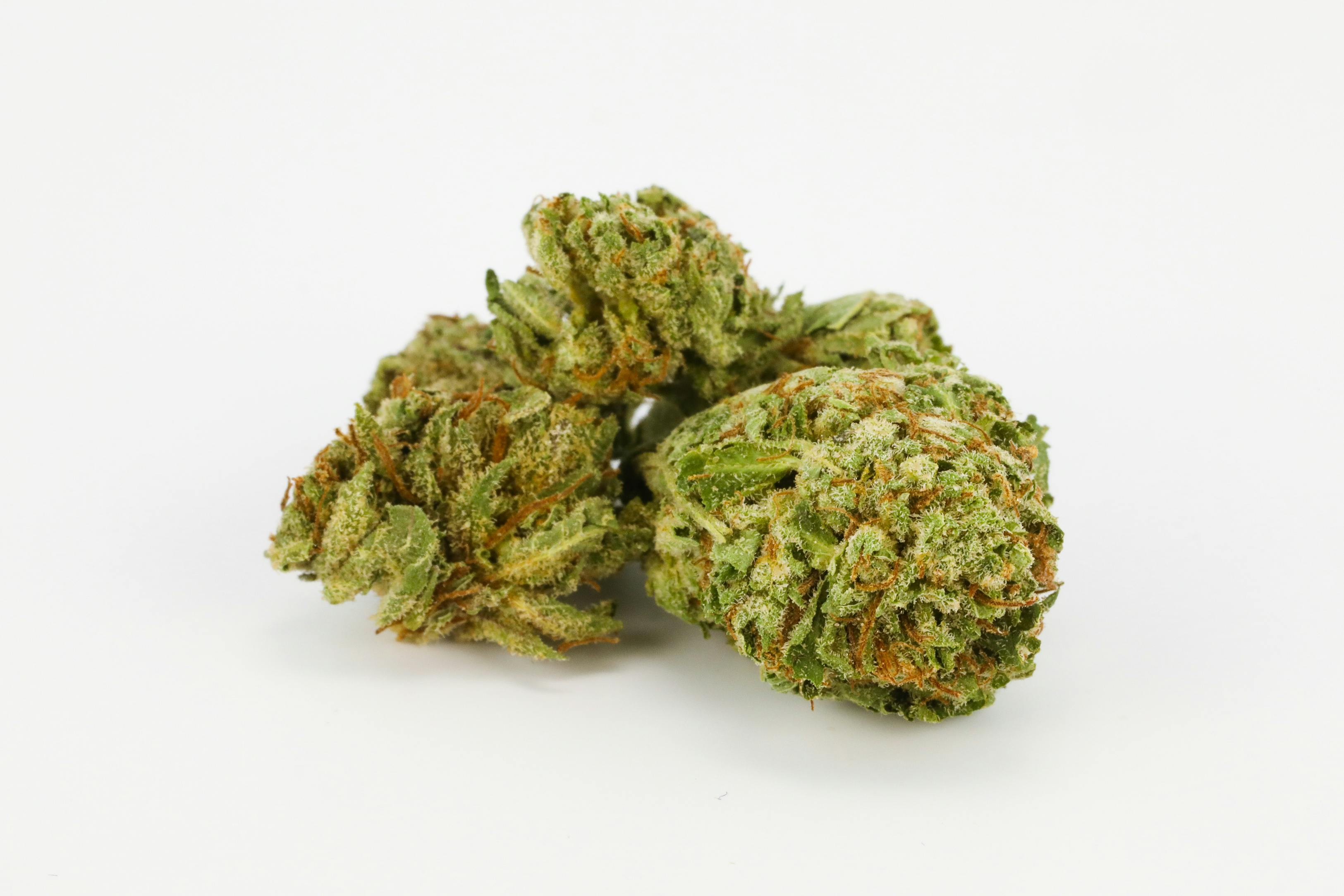 Leia OG Weed; Leia OG Cannabis Strain; Leia OG Hybrid Marijuana Strain