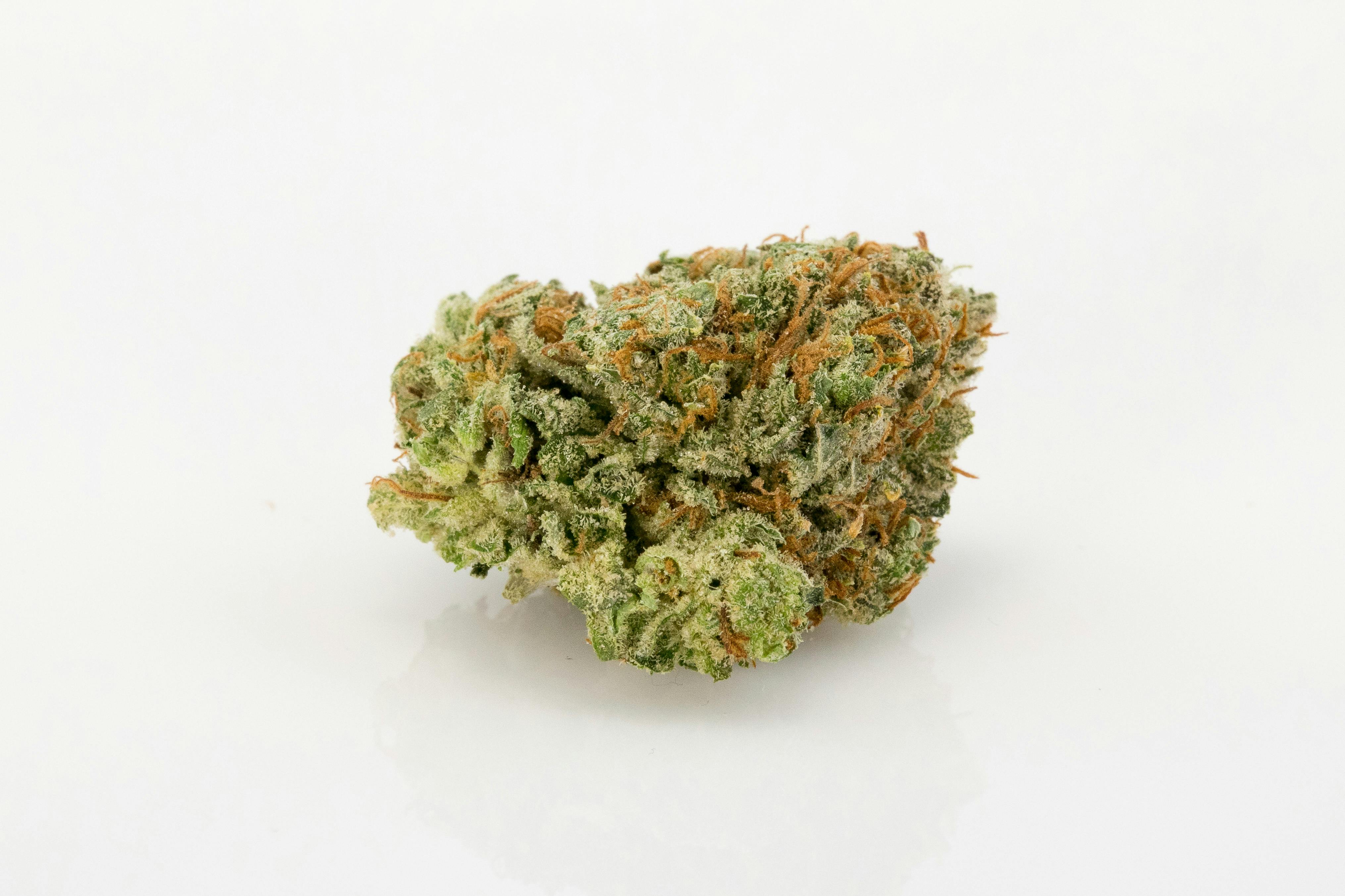 Amnesia Marijuana Strain