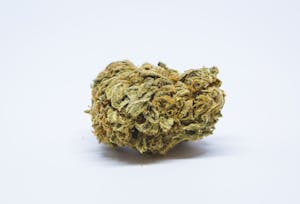 Blue Diesel Marijuana Strain