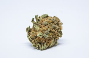 Cherry Kush Marijuana Strain