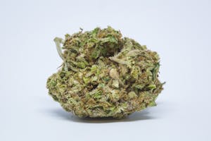 Black Jack Marijuana Strain