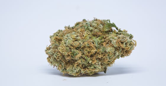 CBD Critical Cure Strain