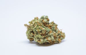 Casey Jones Marijuana Strain