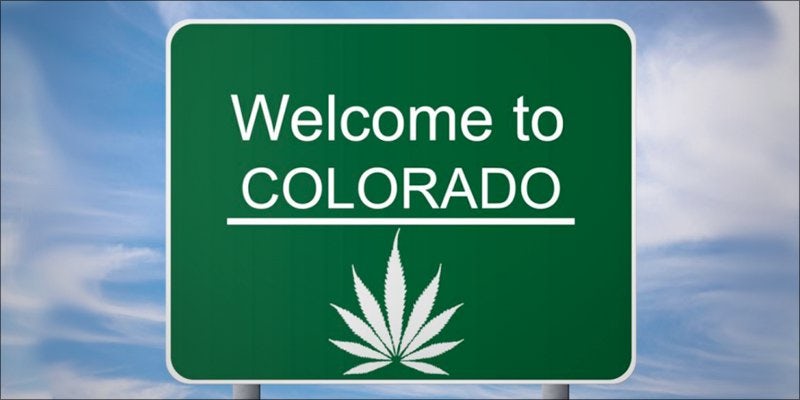 Colorado Plans Crackdown hero Cannabiz Prodigy Karson Humiston On How To Be A Successful Woman In Weed