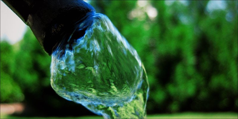 Flush Your Weed 1 3 Important Things Cannabis Nodes Are Telling You About Your Plant