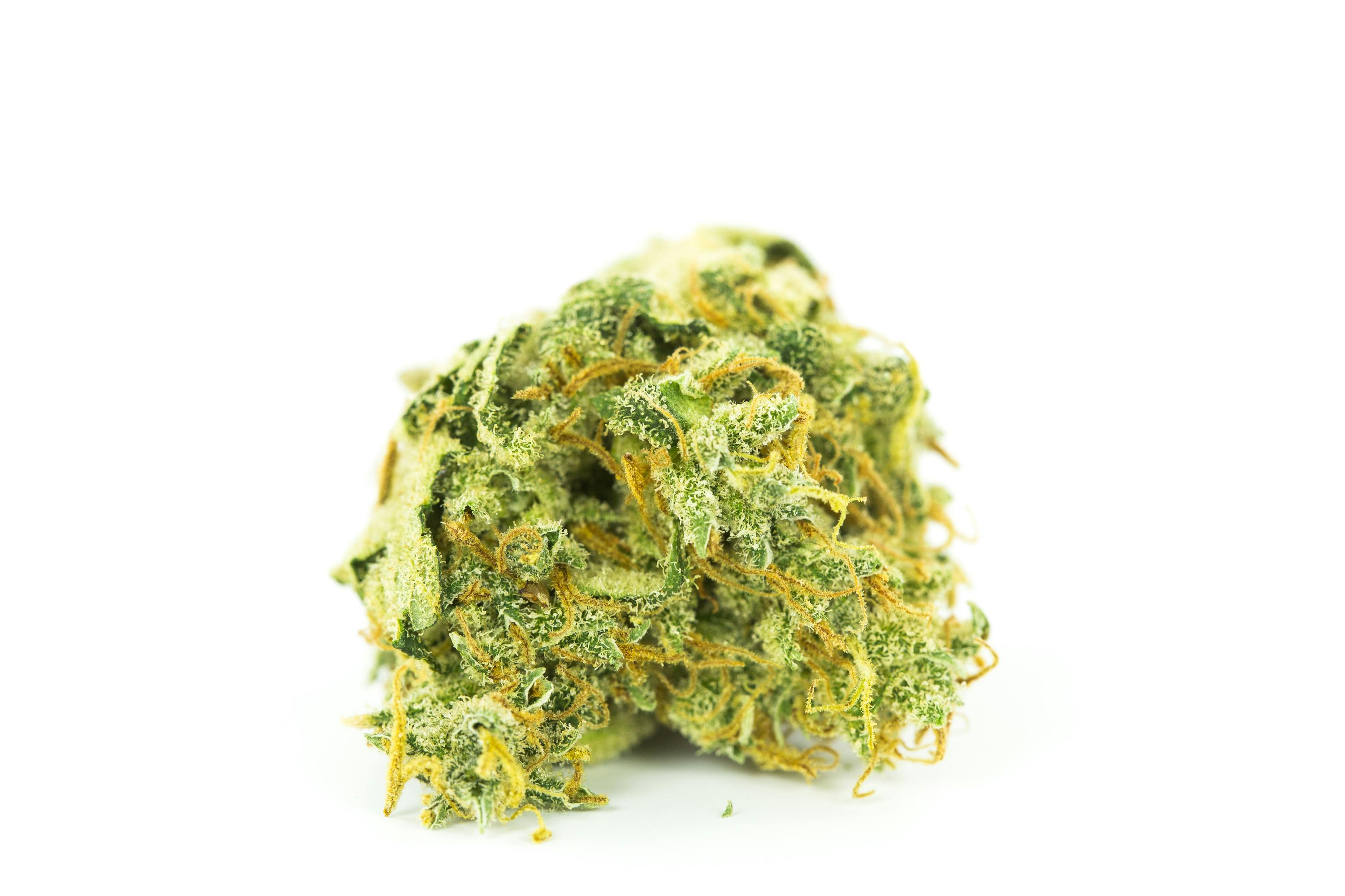 Galactic Jack Weed; Galactic Jack Cannabis Strain; Galactic Jack Sativa Marijuana Strain