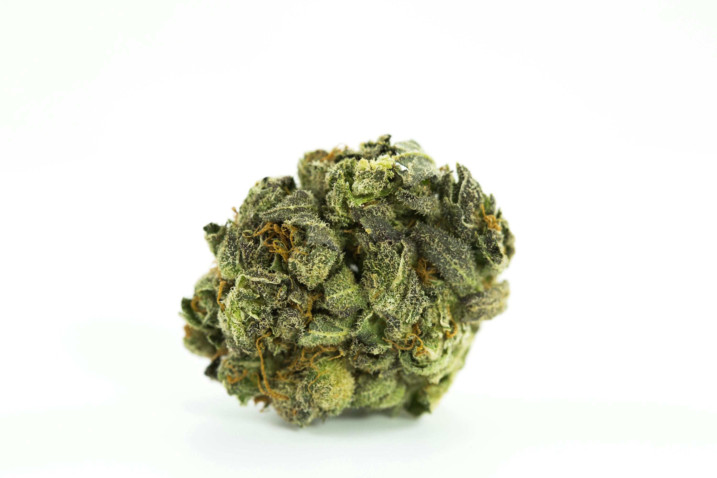 Grapefruit Strain